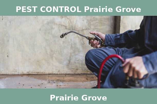 PEST CONTROL Prairie Grove